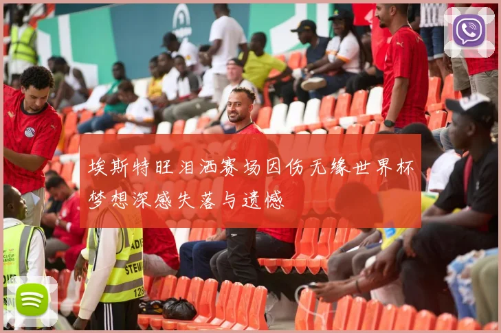 埃斯特旺泪洒赛场因伤无缘世界杯梦想深感失落与遗憾